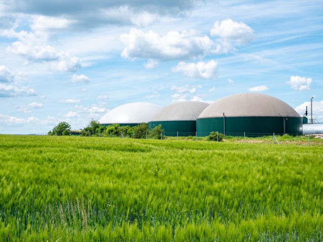 biogas production