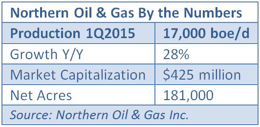 Northern Oil Gas, production, net acres, market capitalization, table