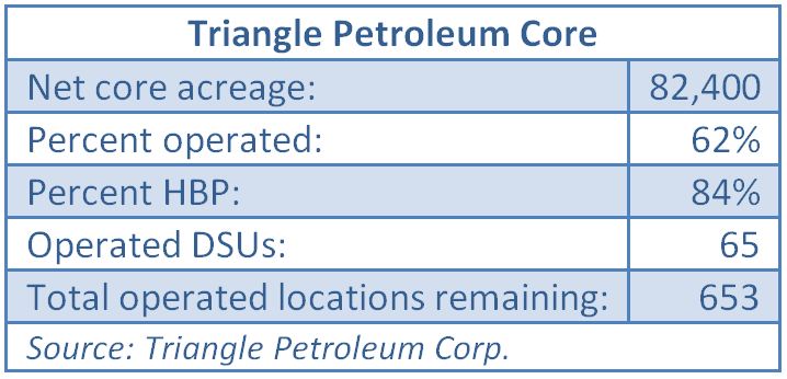 Triangle Petroleum, core, completions, downhole