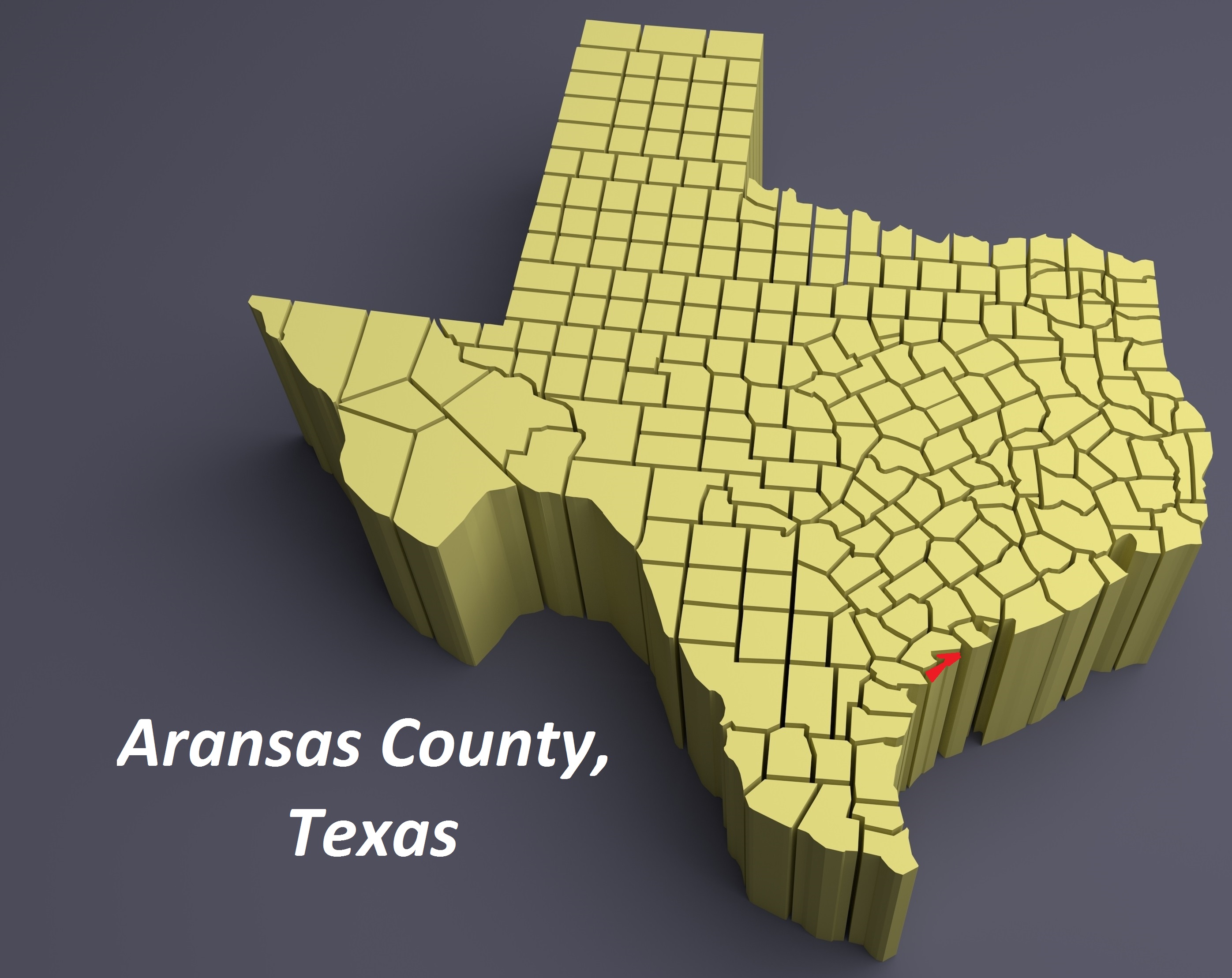Aransas County, Texas, map