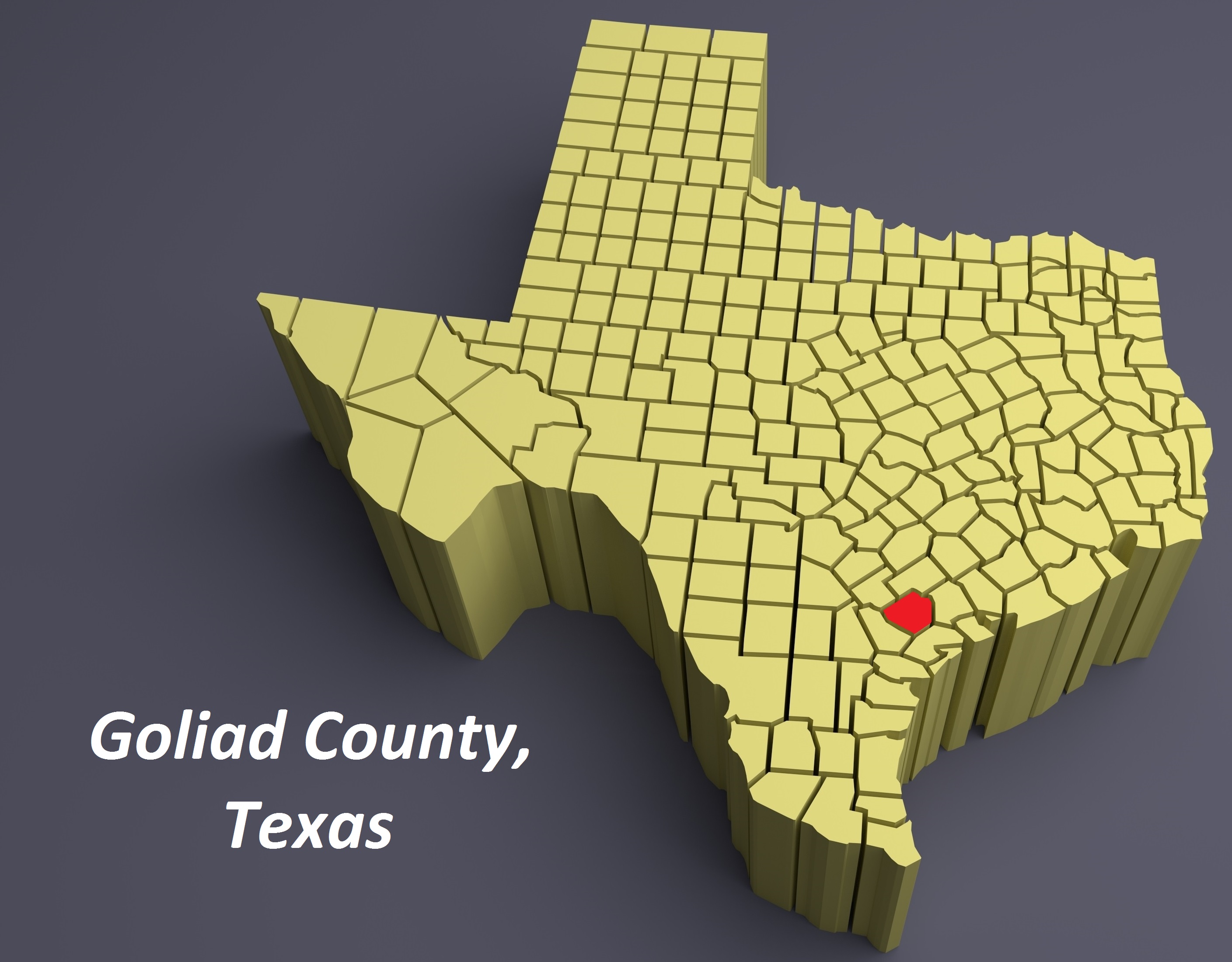 Goliad County, Texas, map