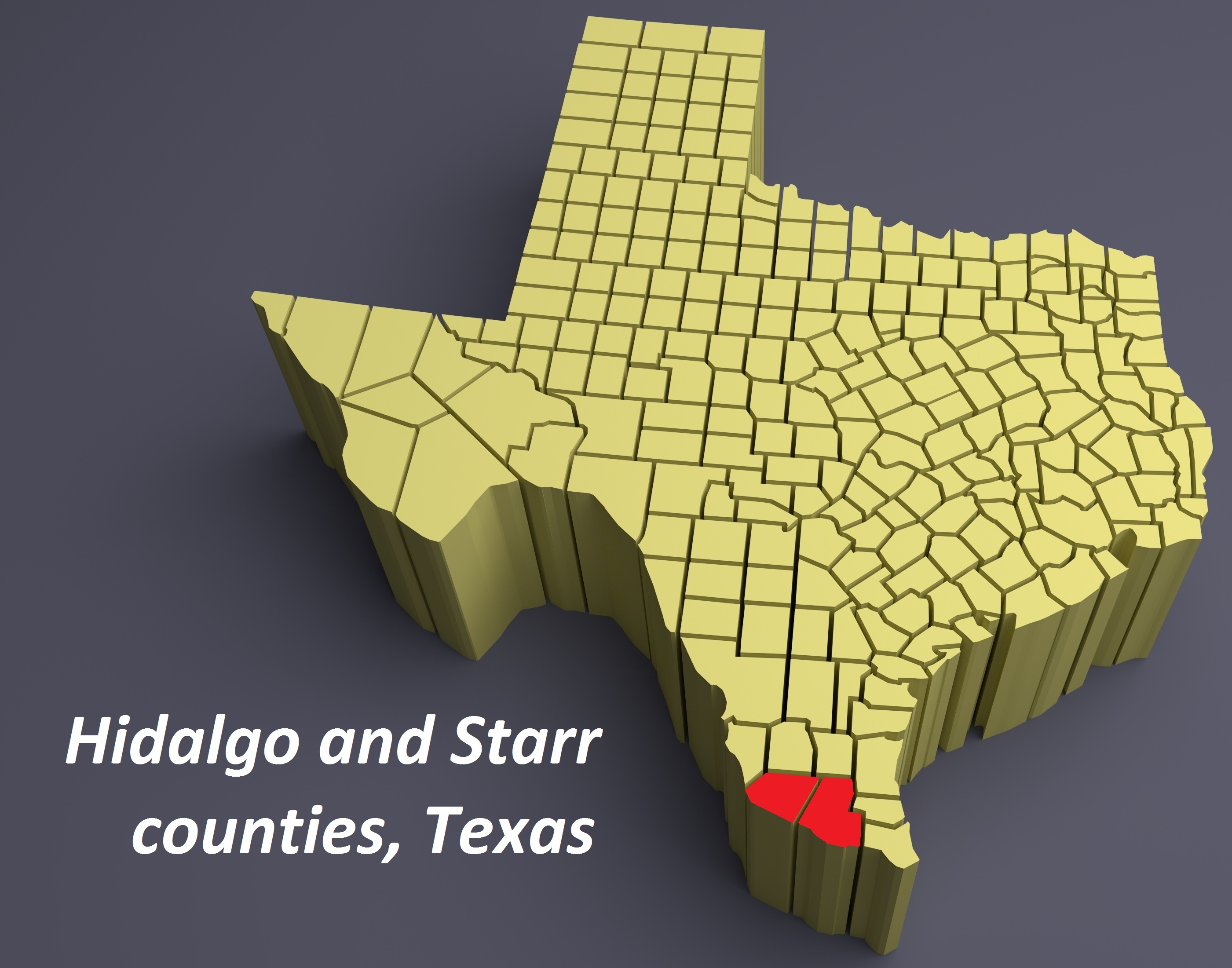 Hidalgo County, Starr County, Texas, map