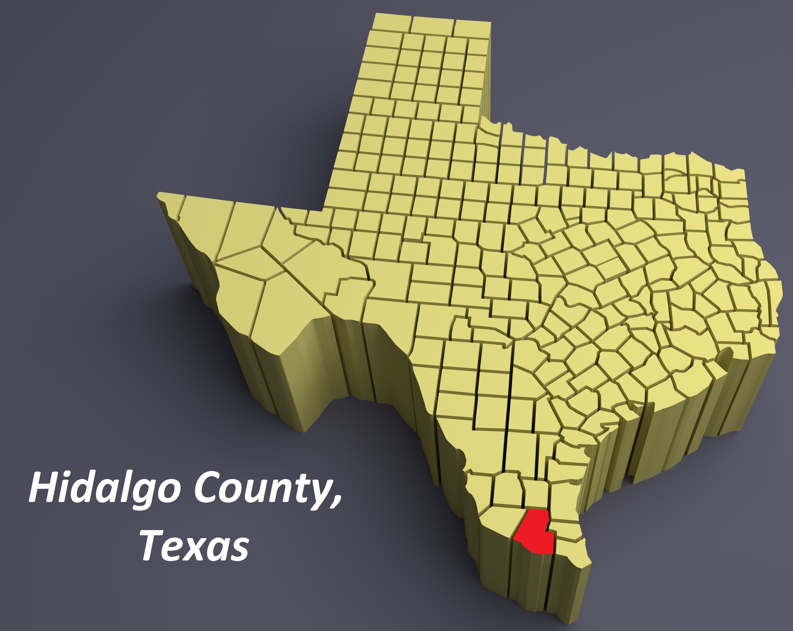Hidalgo County, Texas, map