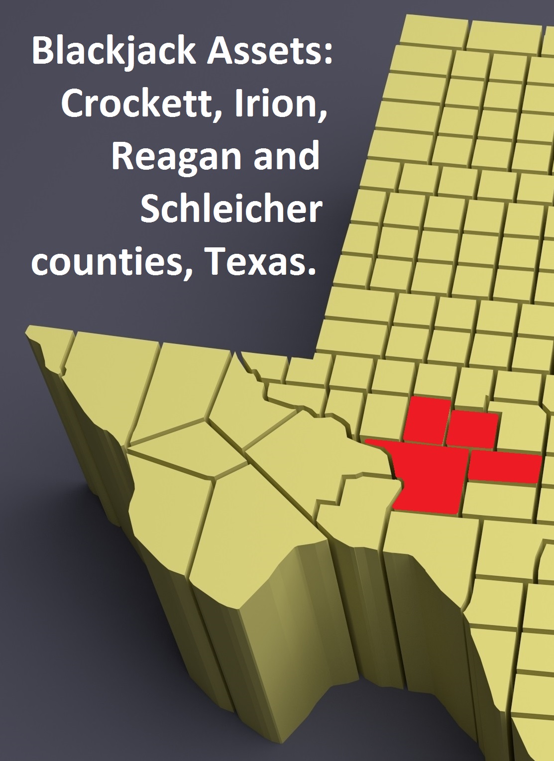 Blackjack Assets Crockett Irion Reagan And Schleicher Counties Texasp Map