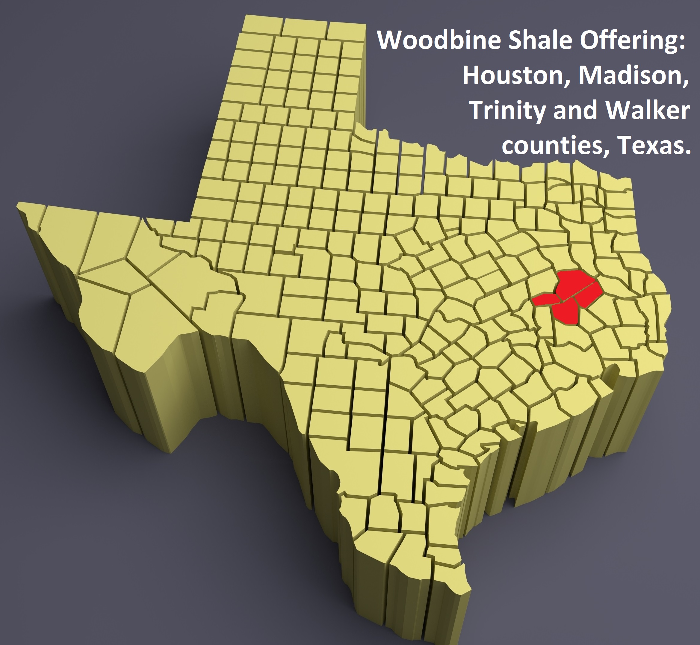 Houston Madison Trinity Walker Counties Texas Map