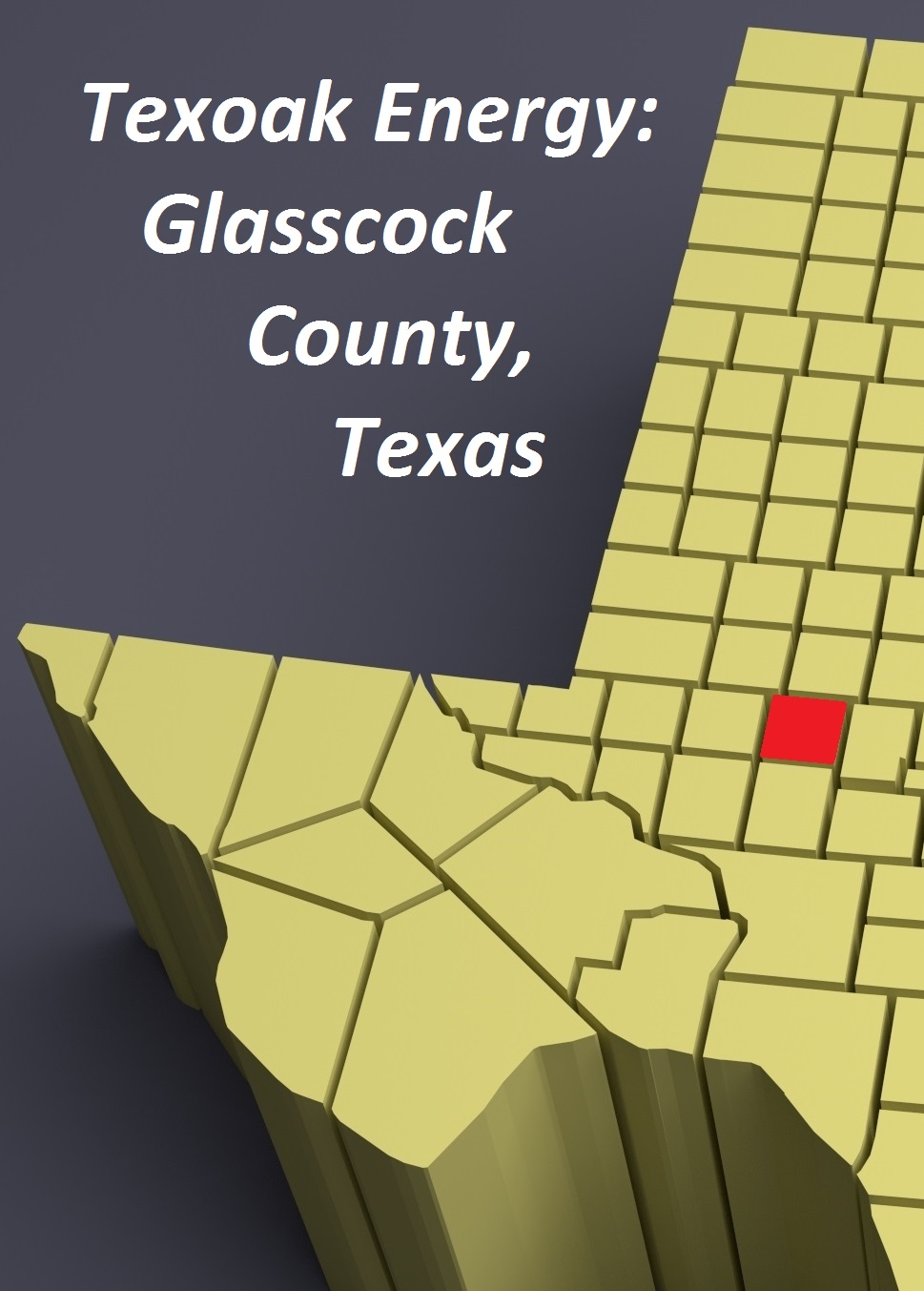 Texas Glasscock County Map
