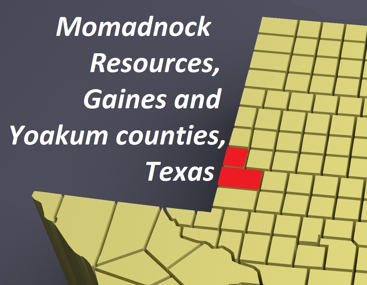 Momadnock Resources, Gaines and Yoakum counties, Texas