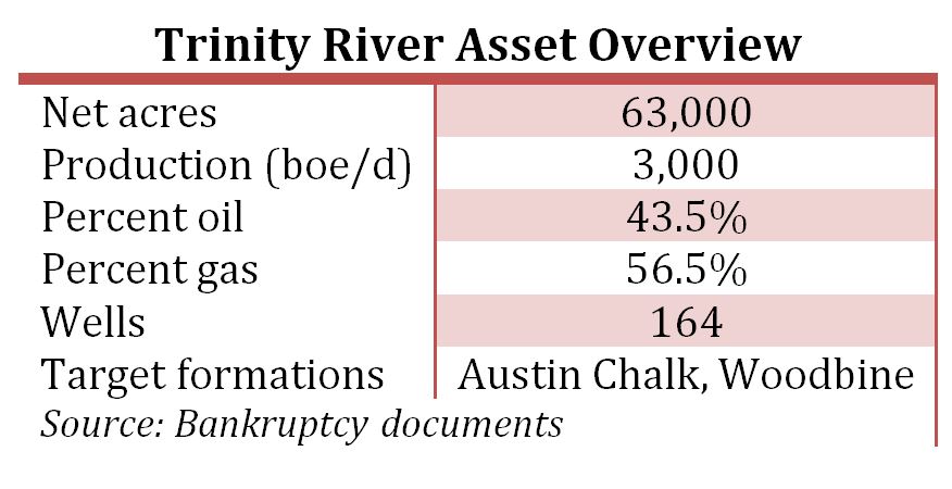 Trinity River Asset Overview