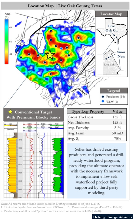 Pioneer/Newpek South Texas Waterflood Location Map (Source: Detring Energy Advisors)