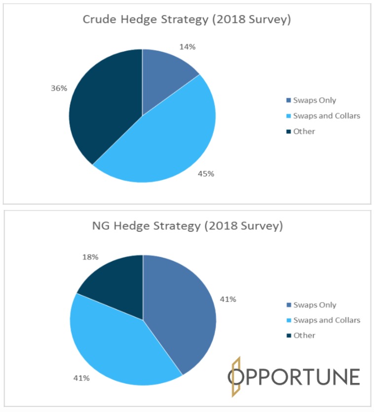 2018 Survey Hedge Strategies For Crude and Natural Gas (Source: Opportune LLP May 2019 Report)