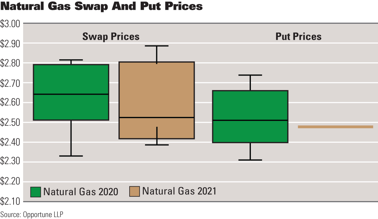 Natural Gas Swap and Put Prices