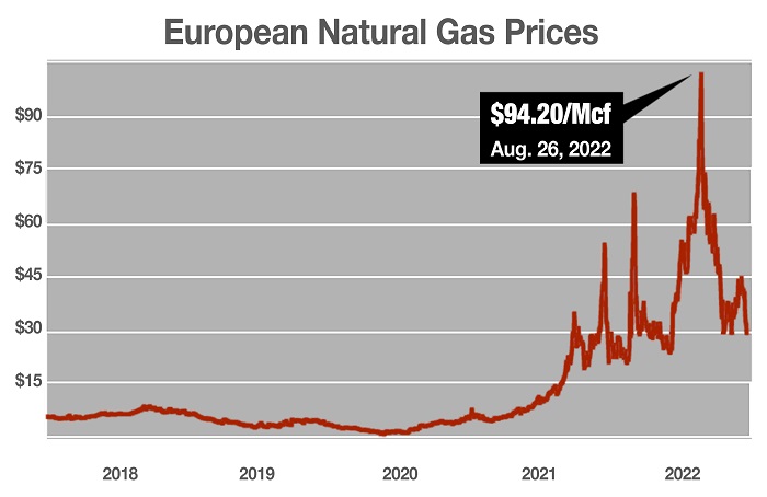 European natural gas prices soared to almost $100Mcf in 2022 on the Title Transfer Facility (TTF) trading hub in the Netherlands.