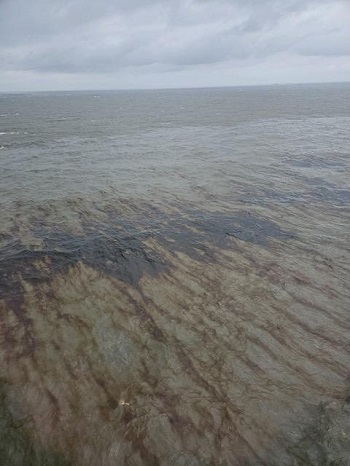 Hunt for Origin of GoM Oil Leak Continues Following Two Spills