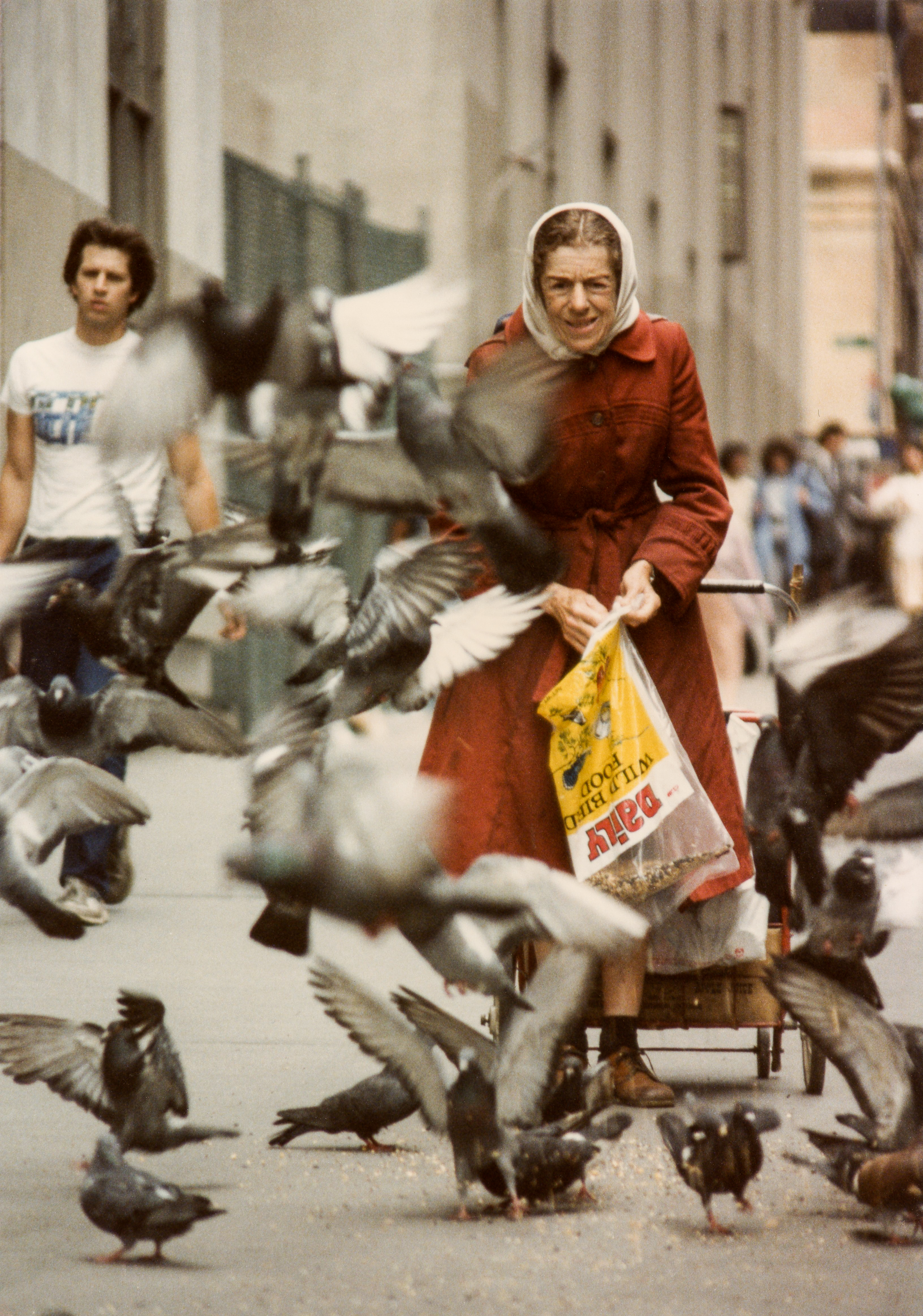 Woman and Pigeons, Manhattan