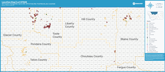 QEP Resources Lot 57325 Montana Asset Map (Source: EnergyNet)