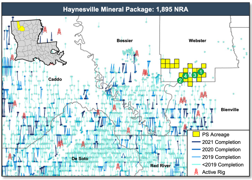 RedOaks Energy Advisors Marketed Map - Hanesville Shale Minerals Webster and Bienville Parishes Louisiana
