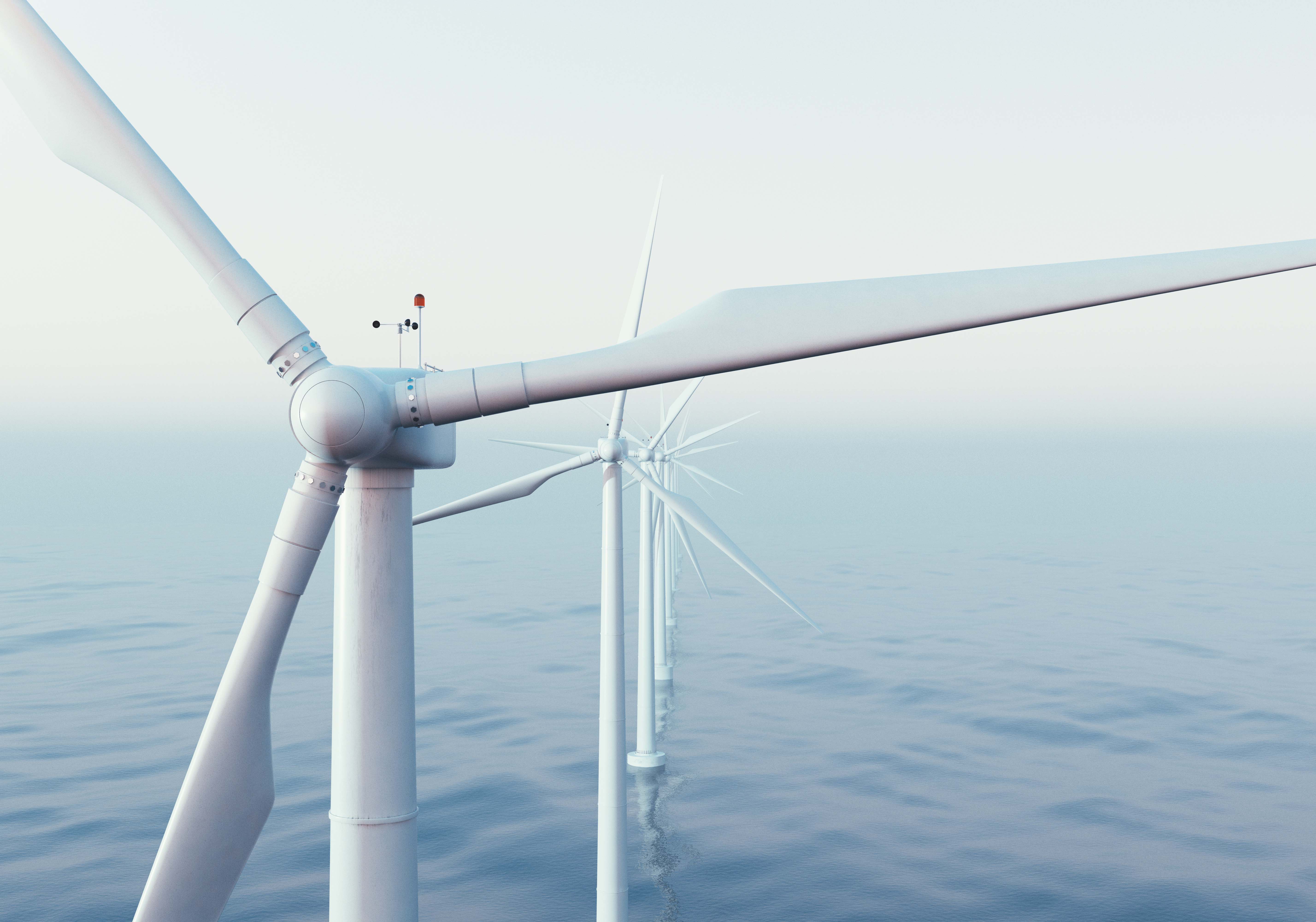 offshore wind source shutterstock.jpg (Source: Shutterstock)