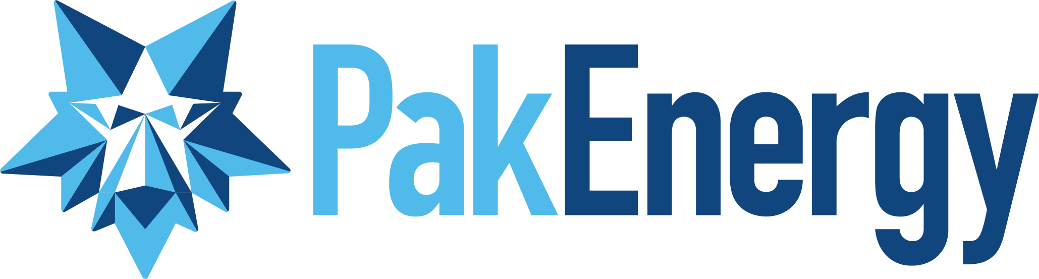 PakEnergy Logo 2024