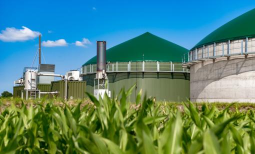 biogas-ethanol-renewable-fuel