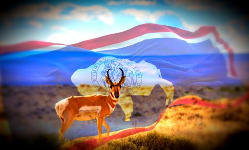 Wyoming Energy Authority Takes Production Challenges by the Pronghorns