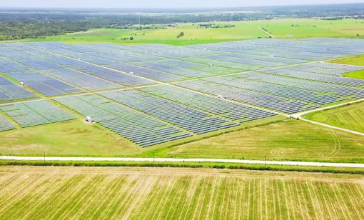 Aerial view of a solar farm.
