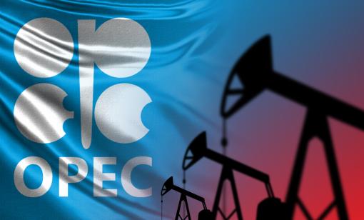 Do Western ESG Standards, Clean Energy Aspirations Prop Up OPEC