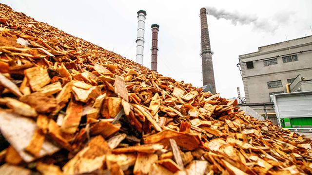 The Obvious Biomass Emissions Error