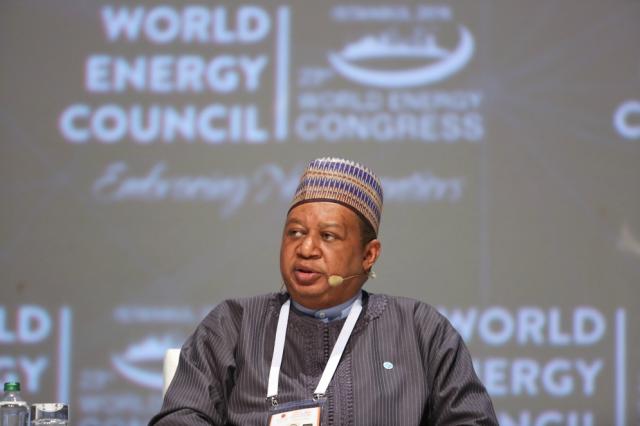OPEC Secretary-General Mohammad Barkindo at the 23rd World Energy Congress in 2016.