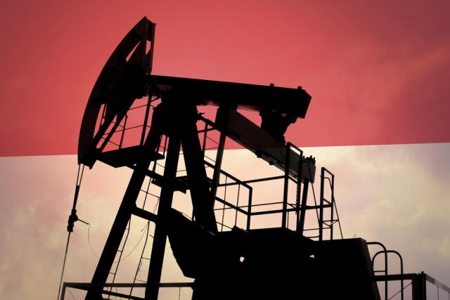 Pertamina aims to boost oil and gas production levels at the Mahakam Block in East Kalimantan, Indonesia. (Source: Shutterstock.com)
