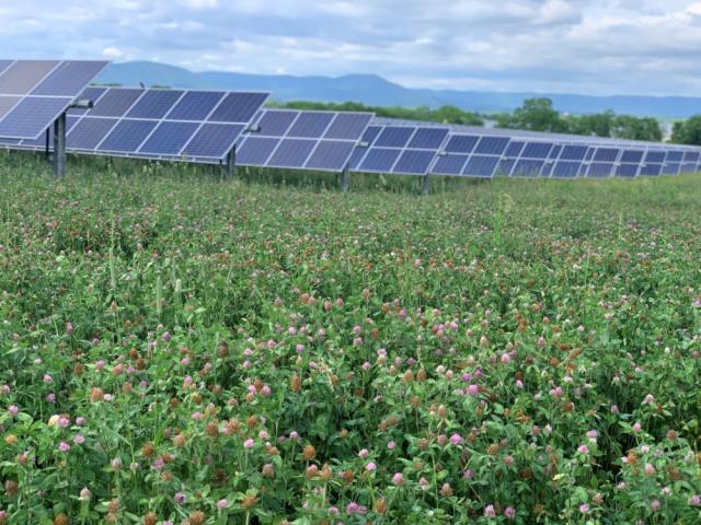 Elk Hill Solar 1 farm in Pennsylvania.