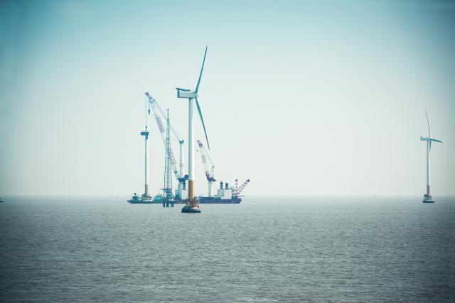 wind farm is constructed off Shanghai
