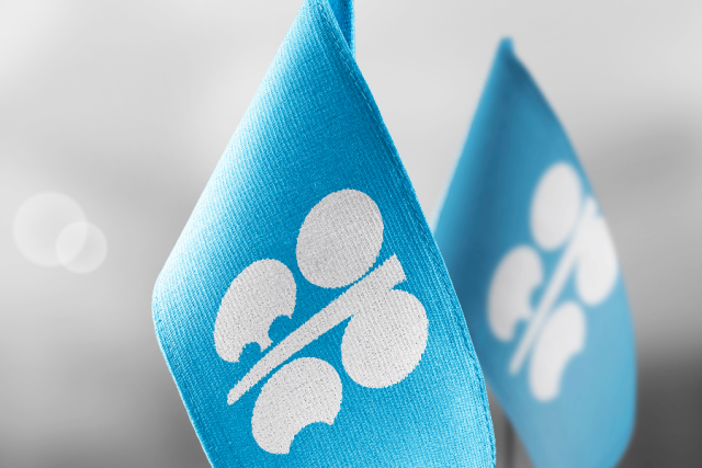 Blue flag with the OPEC logo