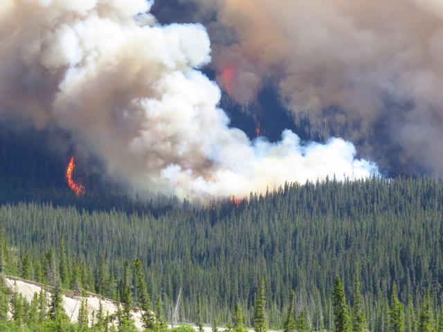 alberta wildfires in 2014