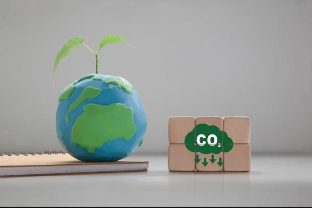 Solving the Voluntary Carbon Market Problem