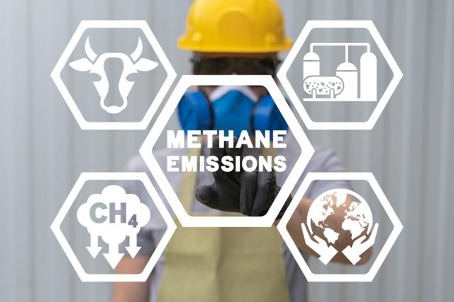 Methane reduction technology