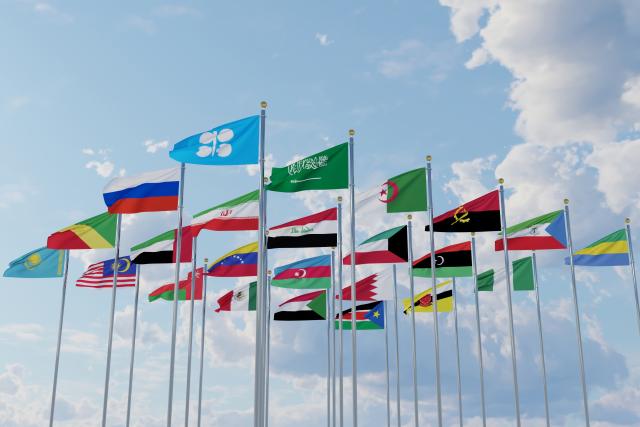 Flags of OPEC+ countries