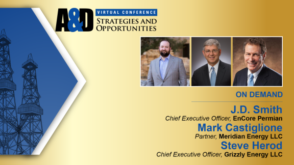 A&D Strategies & Opportunities Roundtable: The View Forward — A&D Veteran Strategies