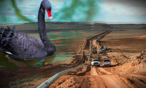 Midstream’s Unruffled Feathers in a Crisis